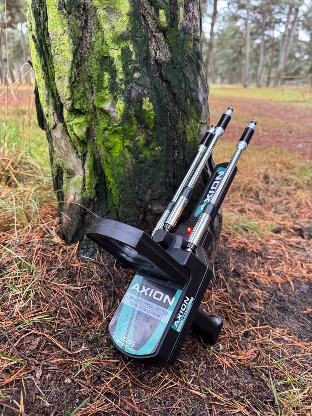 Axion Alan Tarama Görseli